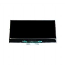 DFSTN Character+Dot Matrix Negative Display COG